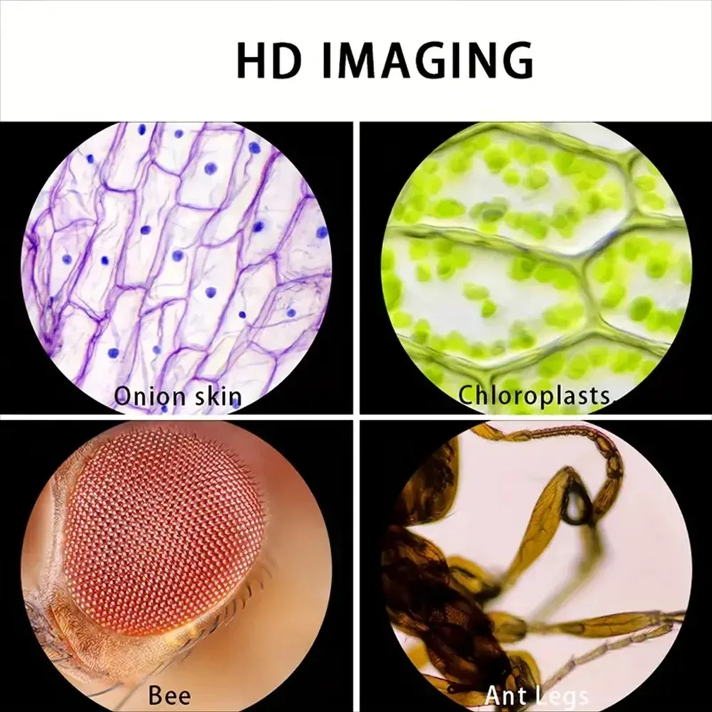 Pocket Microscope for Kids |   - Outdoor Adventure Microscope のレビューと価格