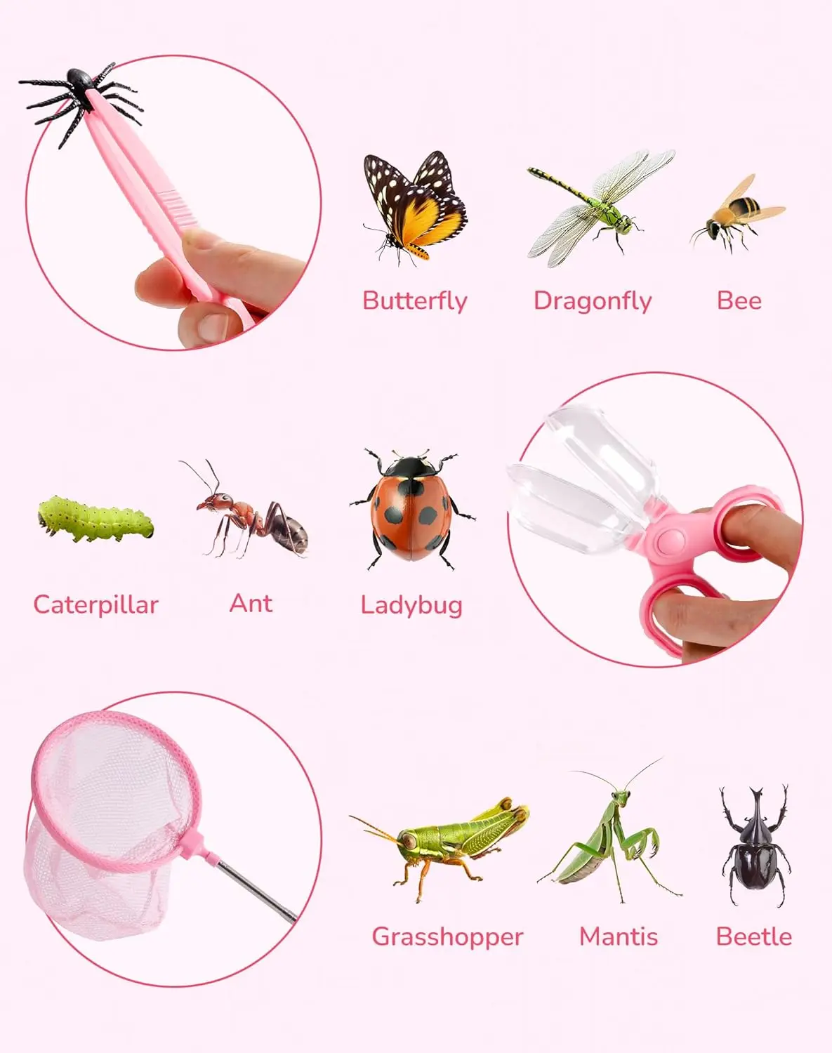 Robotime explorer Kit Bug Catc - Outdoor Adventure Kit For Kids のレビューと価格