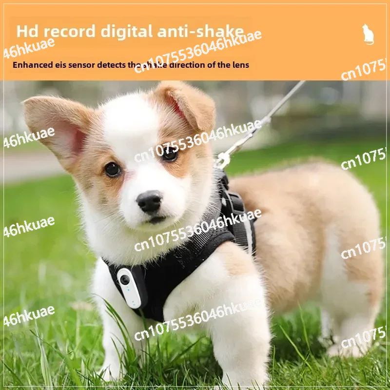 Waterproof Mini Body Camera fo - Outdoor Adventure Video のレビューと価格