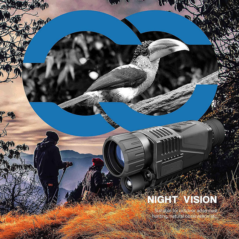 Low Light Night Vision Hunting - Outdoor Adventure Video のレビューと価格