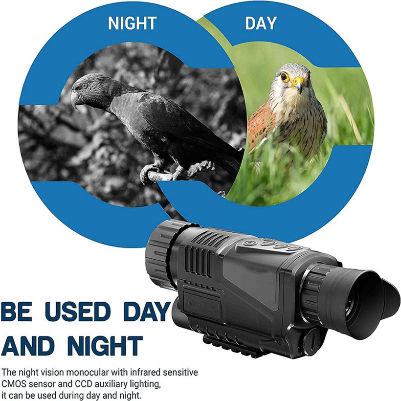 Low Light Night Vision Hunting - Outdoor Adventure Video のレビューと価格