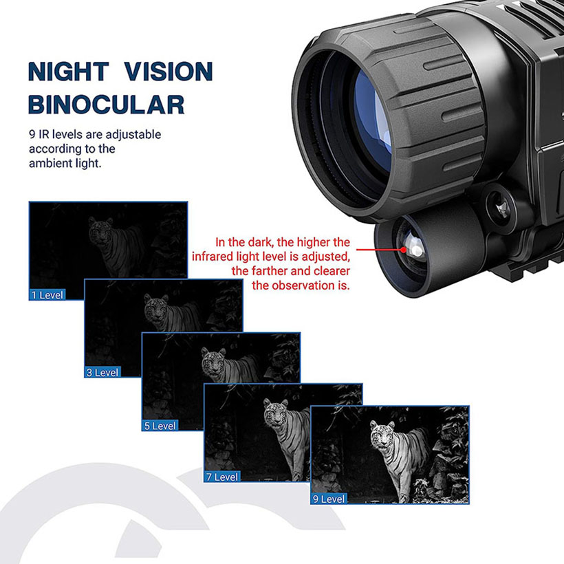 Low Light Night Vision Hunting - Outdoor Adventure Video のレビューと価格